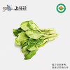【下单后2-3天发货】上膳源有机杭菜心 商品缩略图0