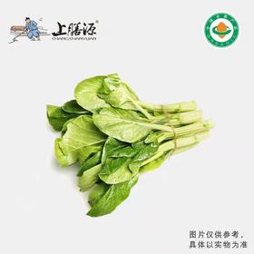 【下单后2-3天发货】上膳源有机杭菜心