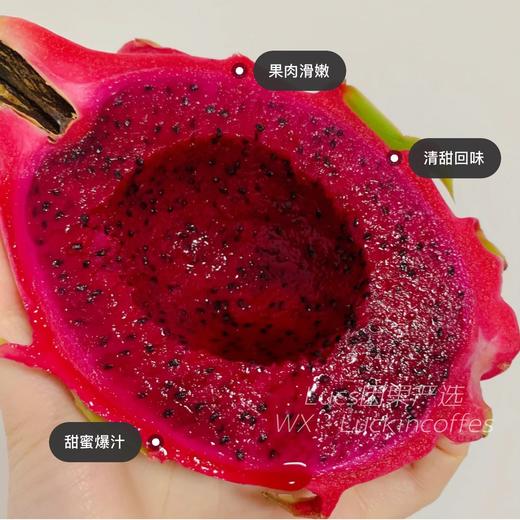 越南 红心火龙果  一级果 9.9/斤 口感纯甜 商品图4
