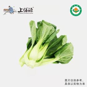 【下单后2-3天发货】上膳源有机小青菜