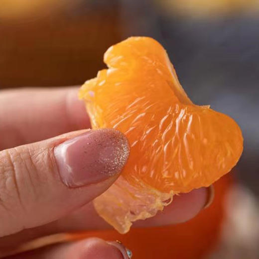 桂林珍珠柑  （5斤/8斤装） 商品图2