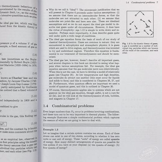 预售 【中商原版】热物理概念：热力学与统计物理学 豆瓣阅读 英文原版 Concepts in Thermal Physics Stephen J. Blundell 商品图5