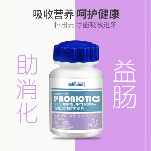 宝莱美露活性益生菌片180粒  改善肠胃 助消化 厂家直供！ 商品图5