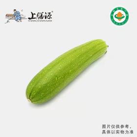【下单后2-3天发货】上膳源有机西葫芦