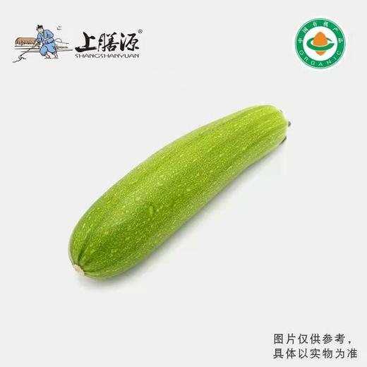 【下单后2-3天发货】上膳源有机西葫芦 商品图0