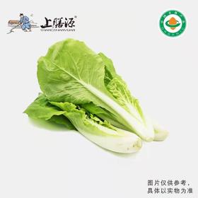 菁沃有机早熟白菜300G