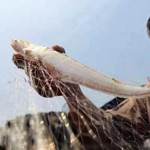 江南灶侯新庆师傅监制的江阴刀鱼馄饨 顺丰发货 含馄饨皮 商品图0