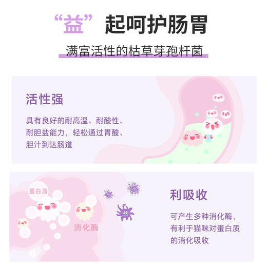 宝莱美露活性益生菌片180粒  改善肠胃 助消化 厂家直供！ 商品图4
