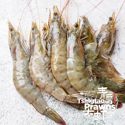 单只盐冻青岛大虾(无冰衣) 干冰保冷顺丰包邮 商品图2