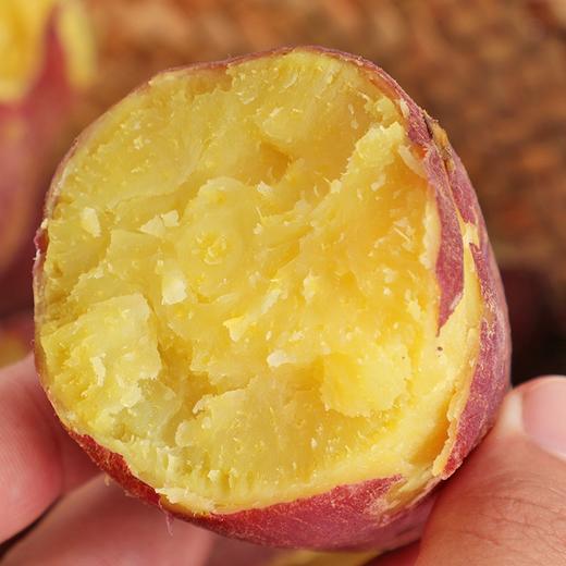 海南【桥头地瓜】粉糯香甜 细腻无丝 富硒珍品 沙土种植 现挖现发！ 商品图4