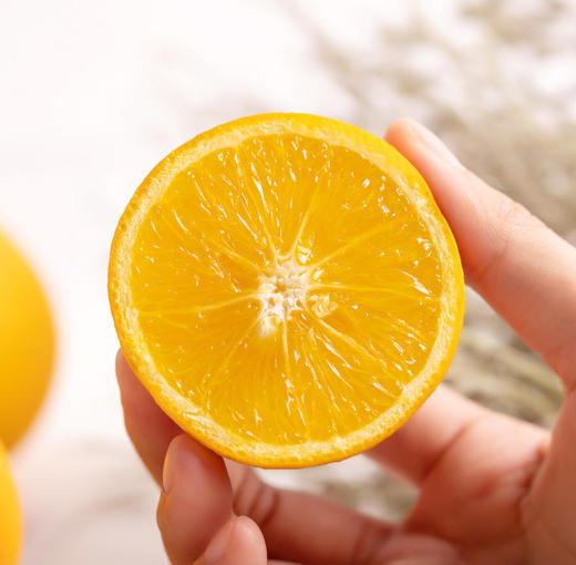 桂花橙 商品图0