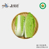 【下单后2-3天发货】上膳源有机青麻叶白菜 商品缩略图0