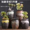 多肉花盆肉肉植物大小创意老桩阳台内套装组合陶瓷罐-CG 商品缩略图2
