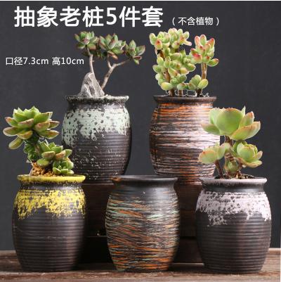 多肉花盆肉肉植物大小创意老桩阳台内套装组合陶瓷罐-CG 商品图2