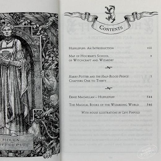 【中商原版】哈利波特6 哈利波特与混血王子 赫奇帕奇学院版平装 英文原版 Harry Potter and the Half Blood Prince Hufflepuff Edition 商品图7