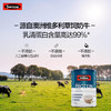 【BSC】澳洲Swisse斯维诗乳清蛋白调制乳粉(香草味)450g澳洲进口代餐 商品缩略图5