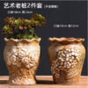 多肉花盆肉肉植物大小创意老桩阳台内套装组合陶瓷罐-CG 商品缩略图3