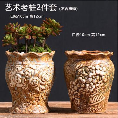 多肉花盆肉肉植物大小创意老桩阳台内套装组合陶瓷罐-CG 商品图3