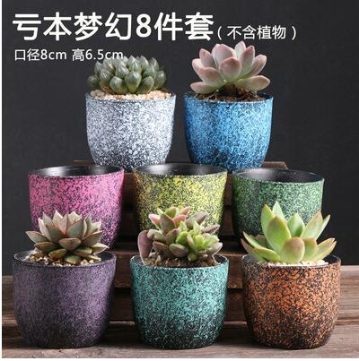 多肉花盆肉肉植物大小创意老桩阳台内套装组合陶瓷罐-CG 商品图0
