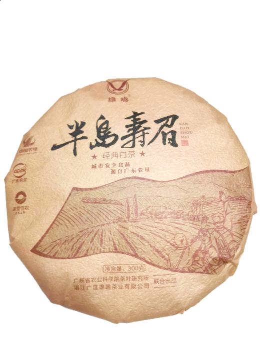 【广垦优品】湛江雄鸥半岛寿眉白茶| 茶叶  300g 商品图2