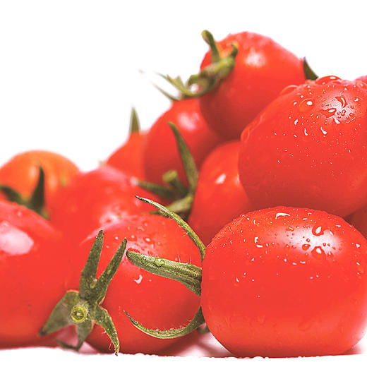 [专业种子] “靓丽601”小番茄种子 商品图0