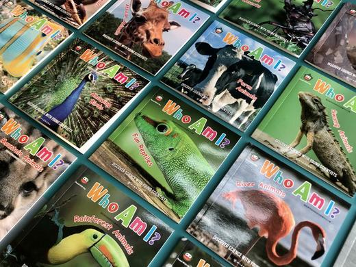 【可点读】WHO AM I?（点读版）让孩子爱不释手的谜语式动物单词小百科！ 商品图2