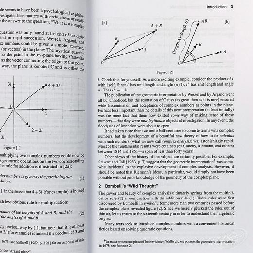 【中商原版】Visual Complex Analysis 英文原版 可视化复分析（牛津经典教材） Tristan Needham 商品图4