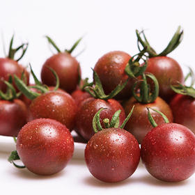 [庭院种子] 紫樱桃番茄种子 "黑珍珠二号"
