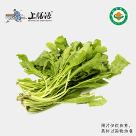 【下单后2-3天发货】上膳源有机荠菜