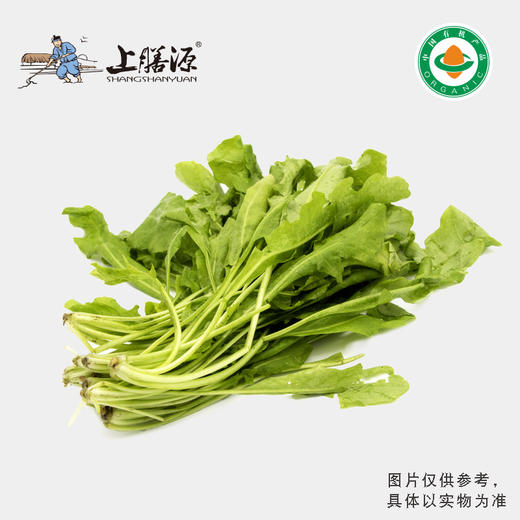 【下单后2-3天发货】上膳源有机荠菜 商品图0