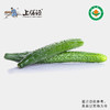【下单后2-3天发货】上膳源有机青皮黄瓜 商品缩略图0