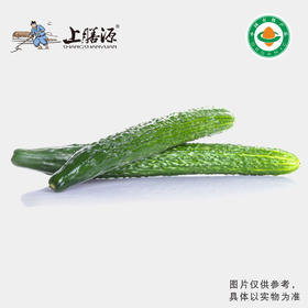 【下单后2-3天发货】上膳源有机青皮黄瓜