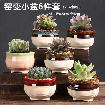 多肉花盆肉肉植物大小创意老桩阳台内套装组合陶瓷罐-CG 商品图5