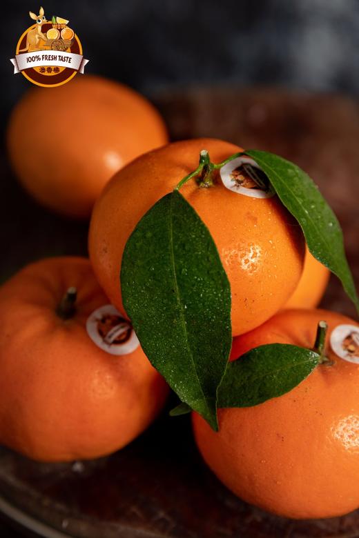 澳香橘——生长在“长寿之乡”的澳洲柑橘|来自大洋彼岸的味蕾 商品图3