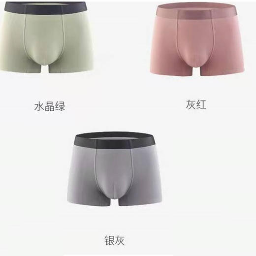 【Garcon Garcia】男士50支莫代尔内裤3条装 商品图2