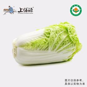 上膳源有机大白菜