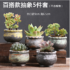 多肉花盆肉肉植物大小创意老桩阳台内套装组合陶瓷罐-CG 商品缩略图1