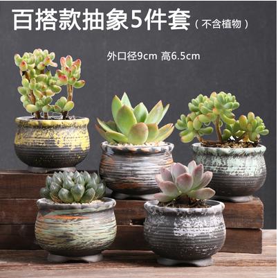 多肉花盆肉肉植物大小创意老桩阳台内套装组合陶瓷罐-CG 商品图1