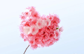 青年|春暖花开学会这四样，让你遇见美好！