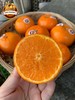澳香橘——生长在“长寿之乡”的澳洲柑橘|来自大洋彼岸的味蕾 商品缩略图2