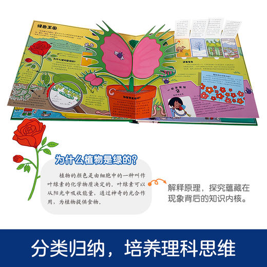 乐乐趣科普翻翻书-奇趣大课堂礼盒 商品图6