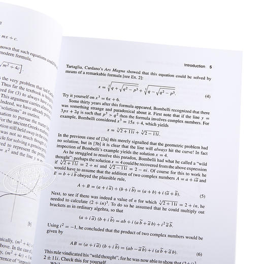 【中商原版】Visual Complex Analysis 英文原版 可视化复分析（牛津经典教材） Tristan Needham 商品图3