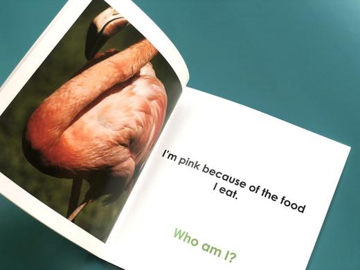 【可点读】WHO AM I?（点读版）让孩子爱不释手的谜语式动物单词小百科！ 商品图4