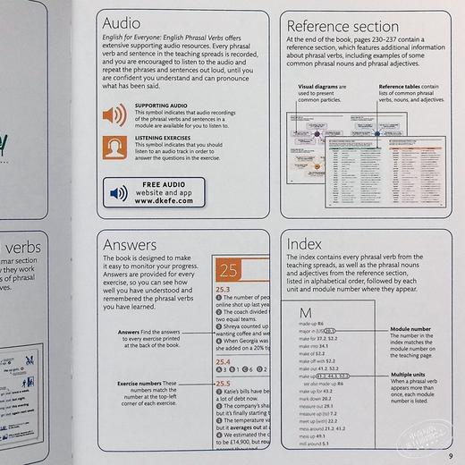 【中商原版】English for Everyone Phrasal Verbs 英文原版 人人学英语 短语动词 DK 商品图8