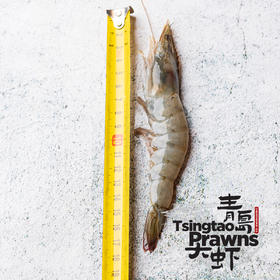 单只盐冻青岛大虾(无冰衣) 干冰保冷顺丰包邮