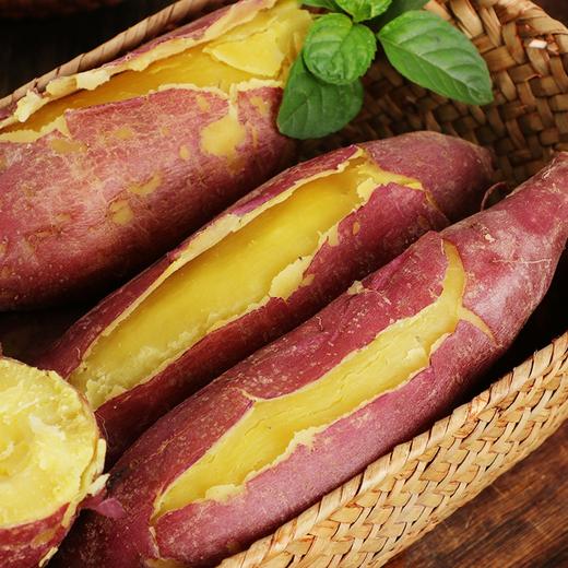 海南【桥头地瓜】粉糯香甜 细腻无丝 富硒珍品 沙土种植 现挖现发！ 商品图3