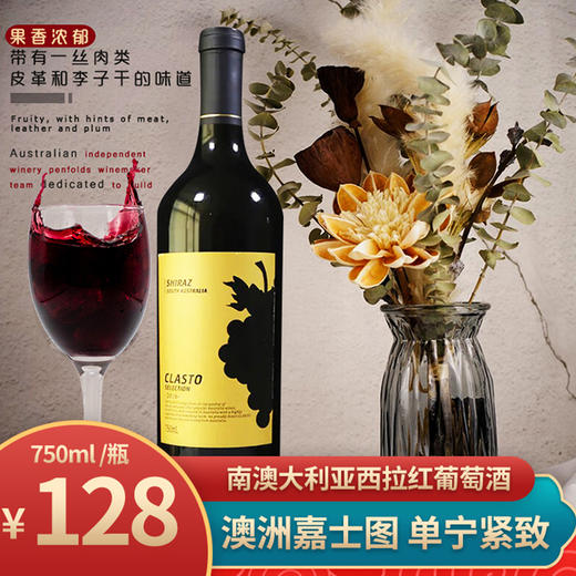 【年货节】红葡萄酒 澳洲嘉士图南 澳大利亚西拉 商品图0