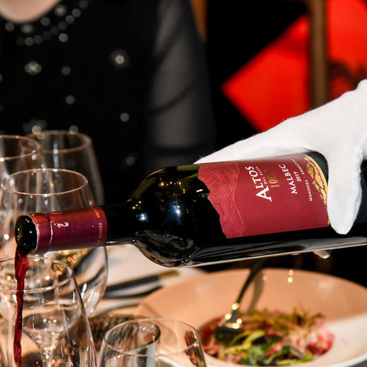 台阶安第斯山脉1009马尔贝克红葡萄酒 商品图2