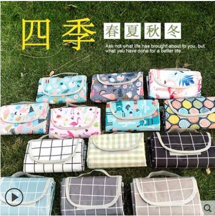 野餐垫春郊游防潮沙滩垫野餐布户外便携防水草野炊地垫加厚ins风-CG 商品图0