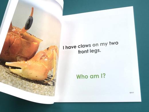【可点读】WHO AM I?（点读版）让孩子爱不释手的谜语式动物单词小百科！ 商品图5